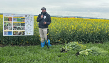 What Seed Growers Need to Know to Protect Genetics and Preserve Value