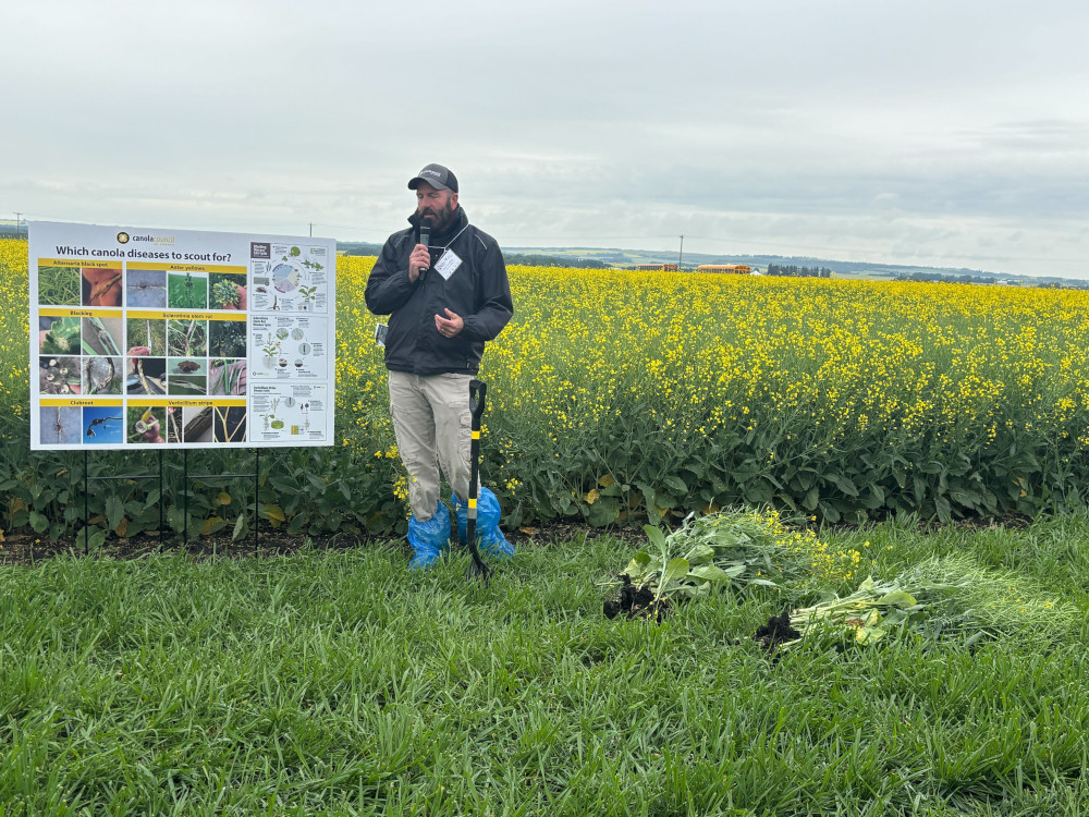 What Seed Growers Need to Know to Protect Genetics and Preserve Value
