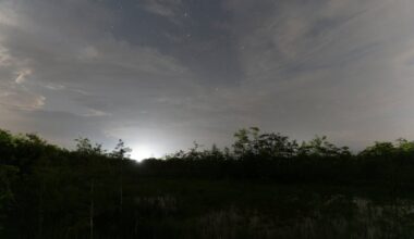 Darkness is crucial to Everglades habitat. Could Alligator Alcatraz threaten it?
