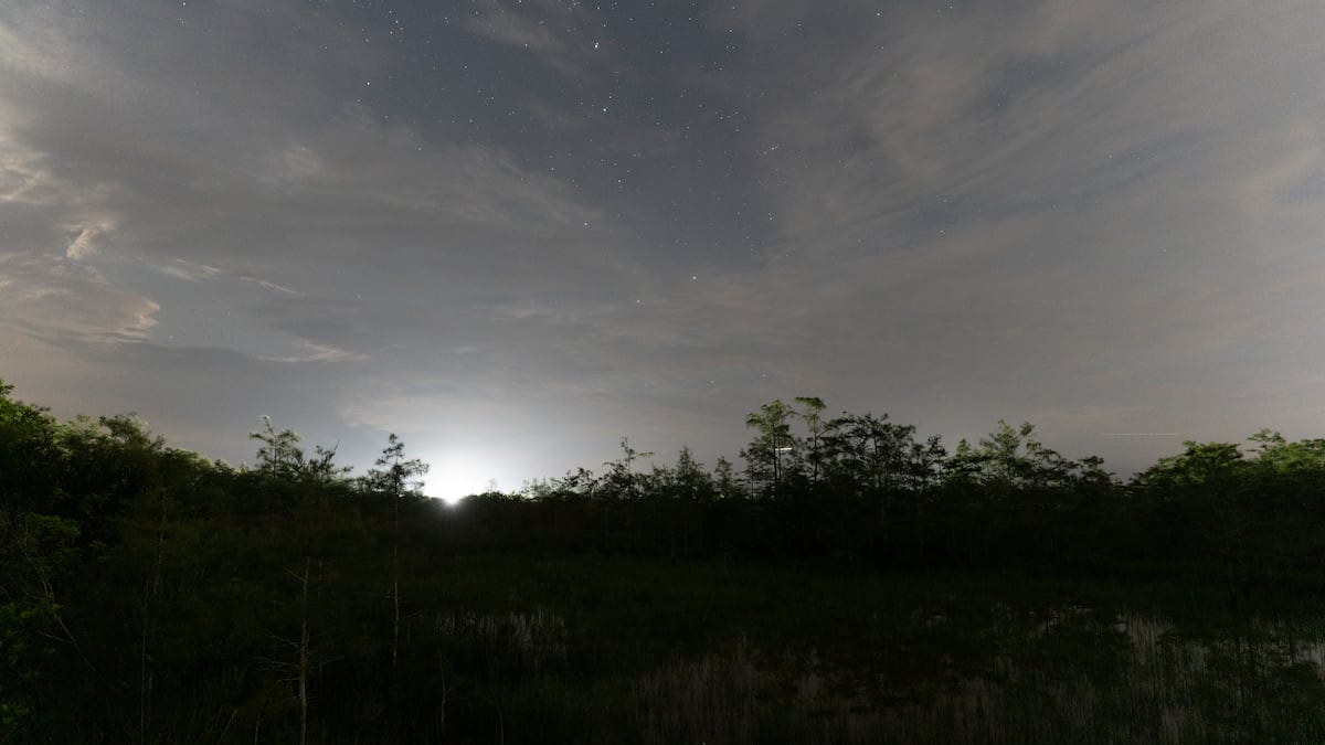 Darkness is crucial to Everglades habitat. Could Alligator Alcatraz threaten it?