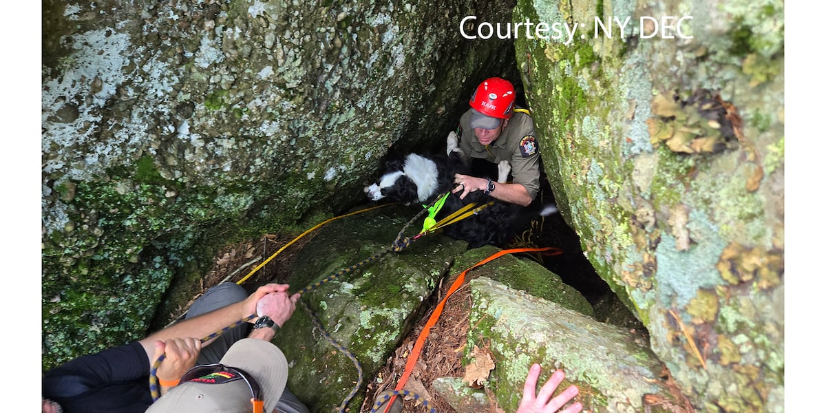 Dog rescued after falling into crevice on NY hiking trail
