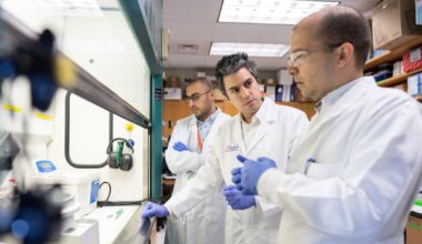 UF researchers say discovery could pave the way for universal cancer vaccine - Tampa Bay Times