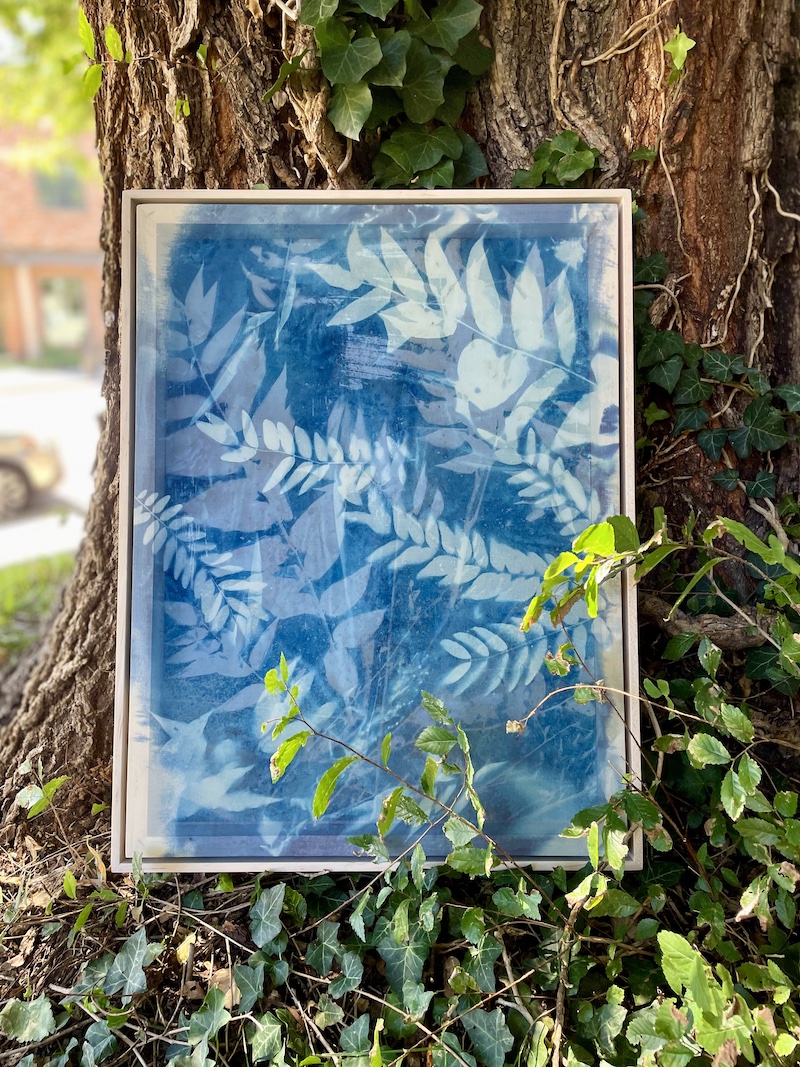 A cyanotype by Kristen Abbott resting against a tree