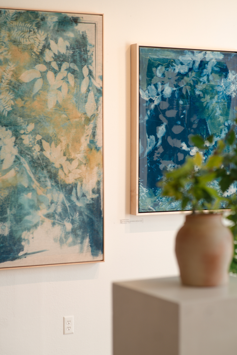 Cyanotypes by Kristen Abbott hanging on the wall