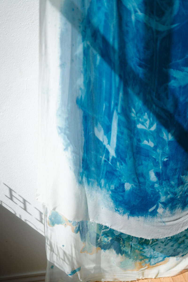 Close-up of a Kristen Abbott cyanotype