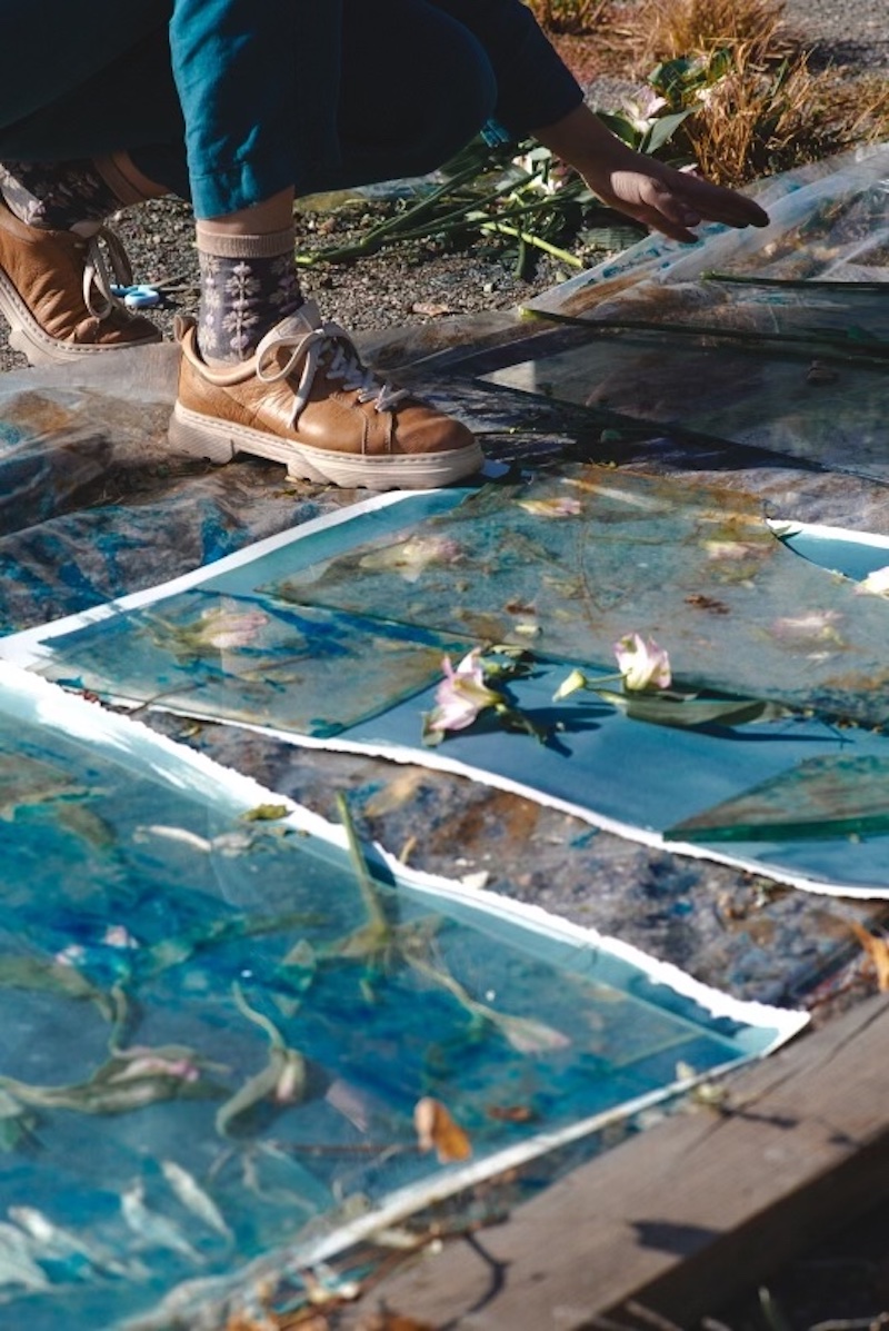 Kristen Abbott in the process of creating her cyanotypes