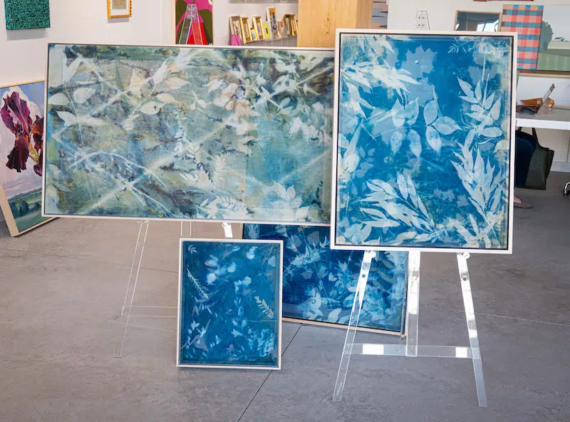 A collection of Kristen Abbott cyanotypes in the studio
