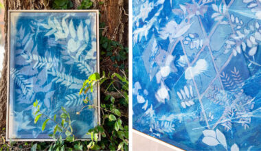 Artist Creates Dreamy Cyanotypes Full of Colorado Greenery