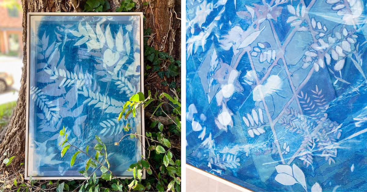 Artist Creates Dreamy Cyanotypes Full of Colorado Greenery