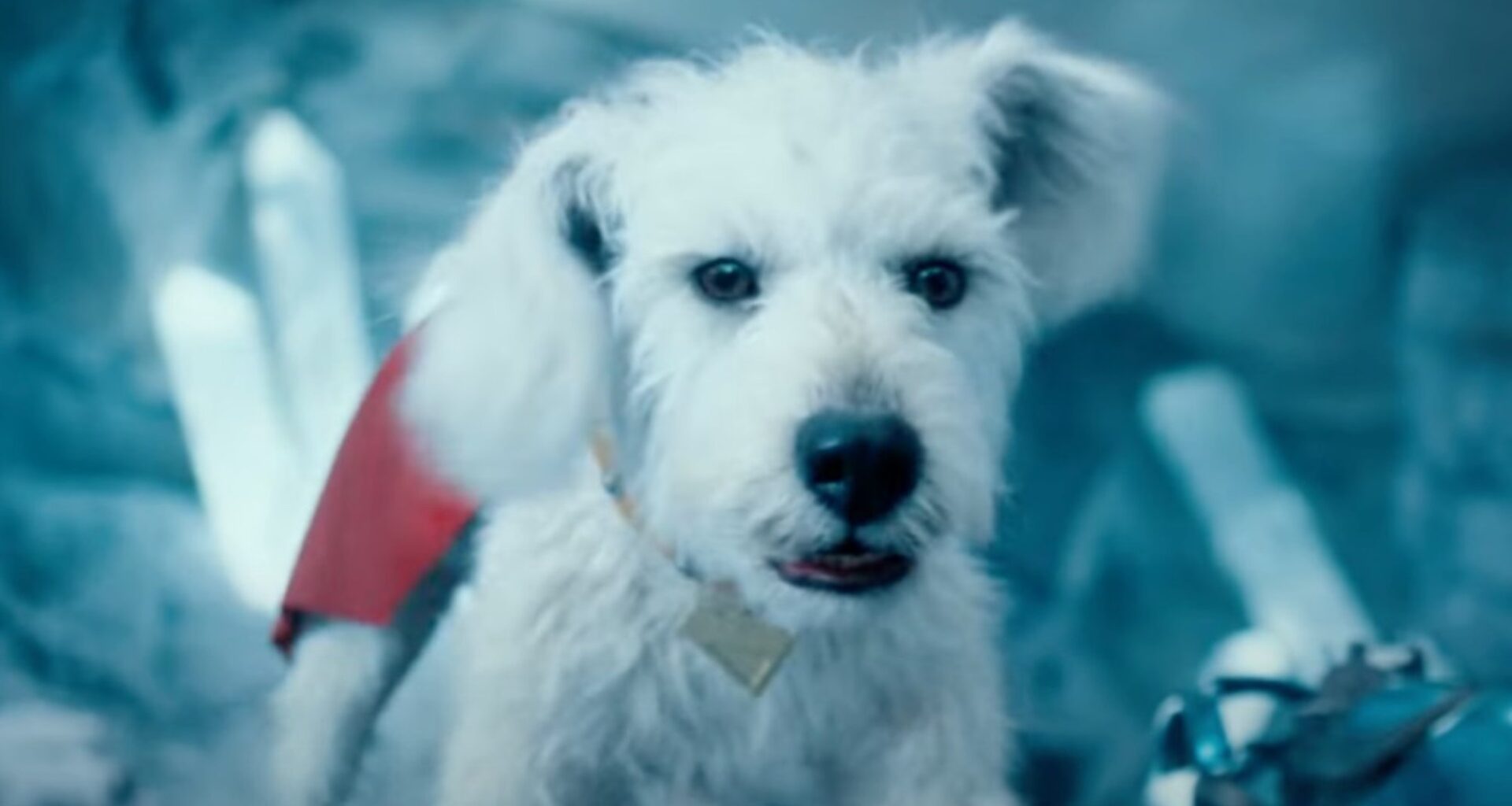 Superman Cut a Controversial Krypto Scene That Upset Test Audiences