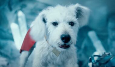 Superman Cut a Controversial Krypto Scene That Upset Test Audiences