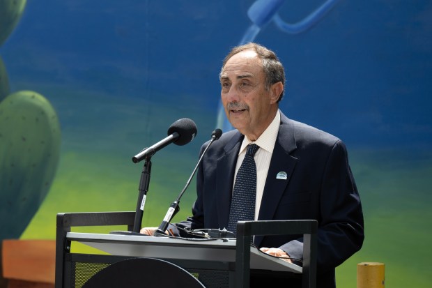 Dr. Nasser Karam, Board Chair, ICSC, speaks during a mural...