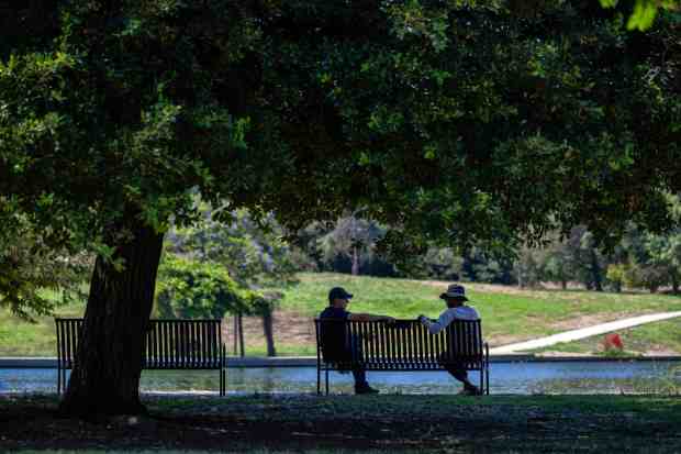 People enjoy the shade of a tree at Lake Balboa...