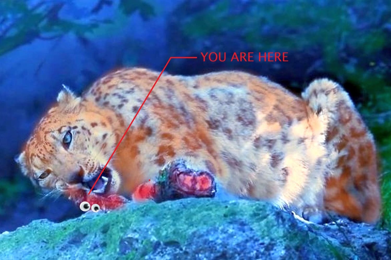 The Sound of Teeth on Bone: Leopard Eating Leopards [UPDATE]