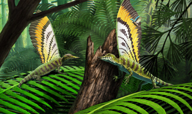 Life Reconstruction Mirasaura