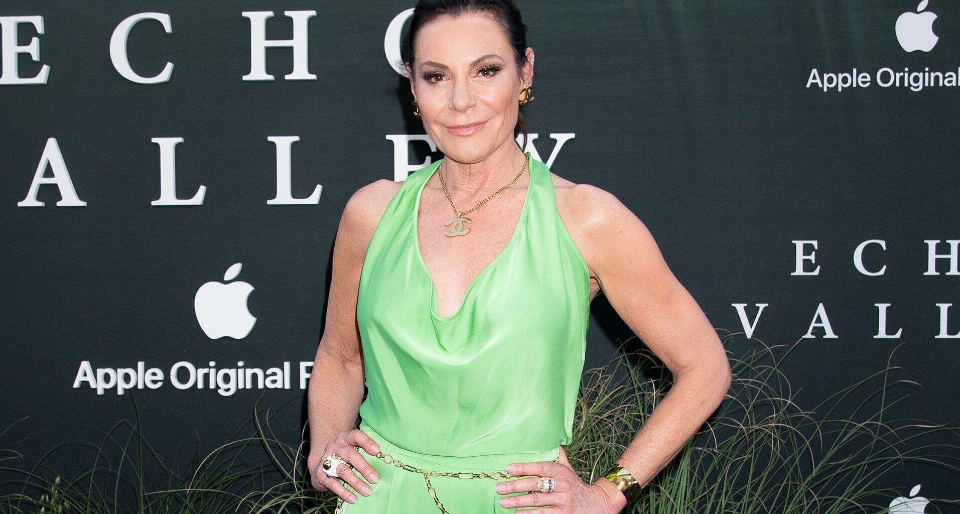Luann de Lesseps Shares What Went Wrong With RHONY Reboot After Criticism