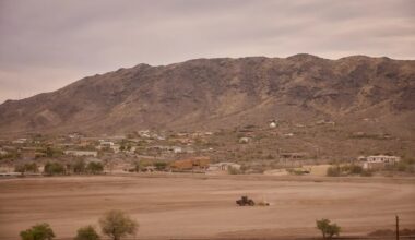 Black Phoenix Faces Crisis as Heat Fuels Suicide — Can Urban Farms Offer Hope?