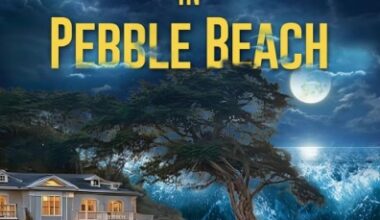 Former Carmel resident crafts a novel by the sea – Monterey Herald