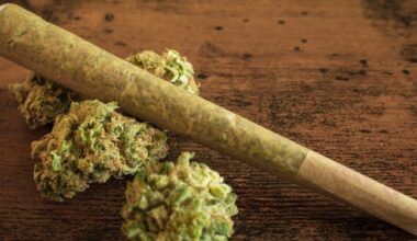 Cannabis Use Is Linked to Epigenetic Changes, Scientists Discover : ScienceAlert