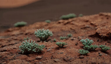 Goodbye to the idea that Mars is uninhabitable - a new study shows that this terrestrial living thing can resist there and maintain its active metabolism