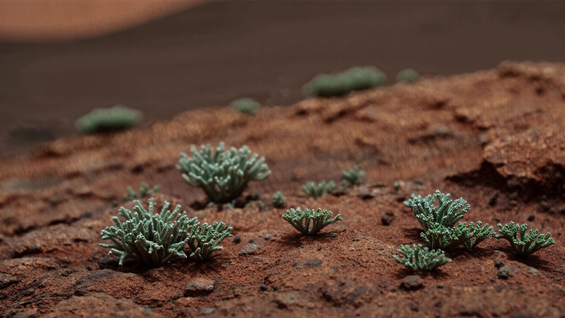 Goodbye to the idea that Mars is uninhabitable - a new study shows that this terrestrial living thing can resist there and maintain its active metabolism