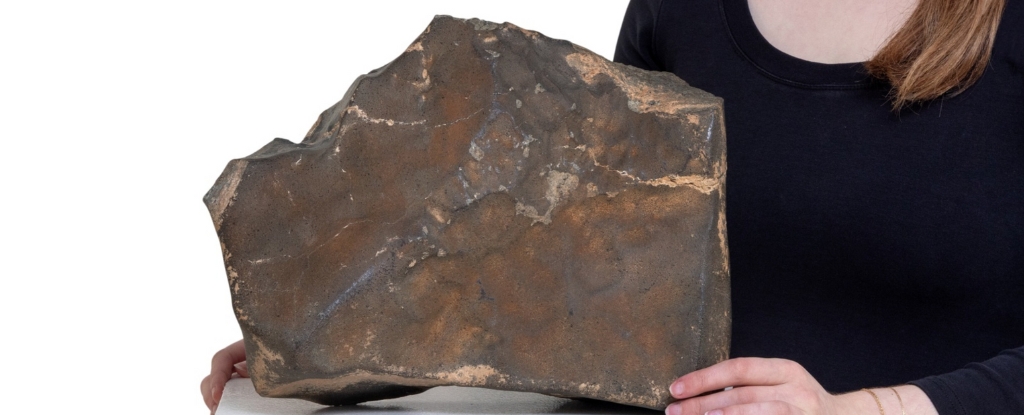 Largest Mars Rock on Earth Could Sell For US$4 Million : ScienceAlert