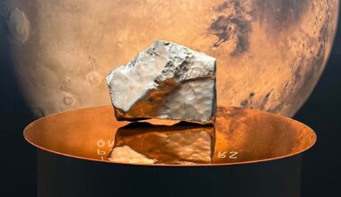 Neither gold nor diamonds - this piece of Mars costs more than 5 million and is already the most expensive Martian meteorite ever auctioned