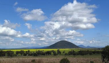 New research projects to lead canola development