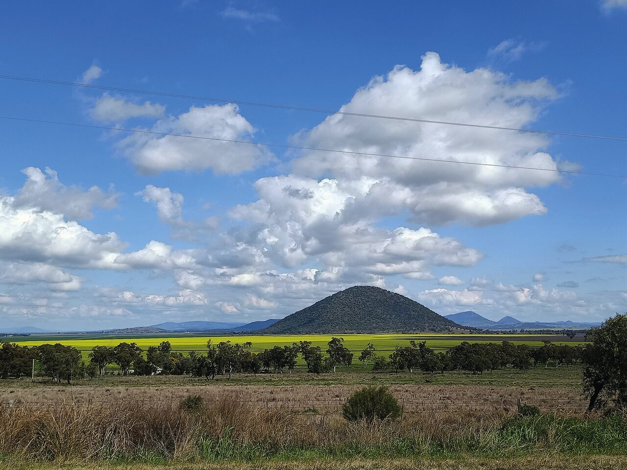 New research projects to lead canola development