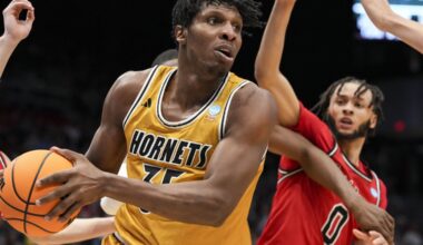 College sports notebook: Robert Morris men's basketball adds frontcourt transfer