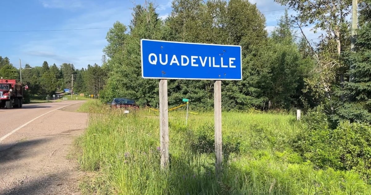 Teen charged with attempted murder, sexual assault in attack that injured young girl in Quadeville, Ont.: OPP - CTV News