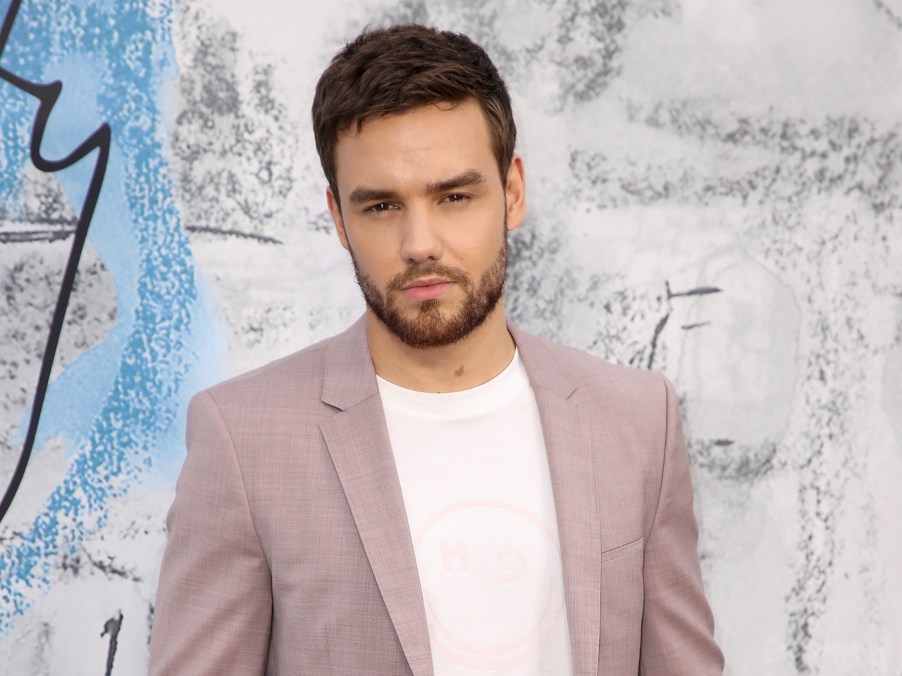 Liam Payne to appear in Netflix's 'Building the Band' final episodes
