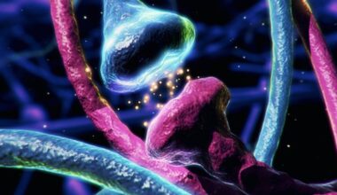 Dopamine Doesn't Work in Our Brains Quite The Way We Thought : ScienceAlert