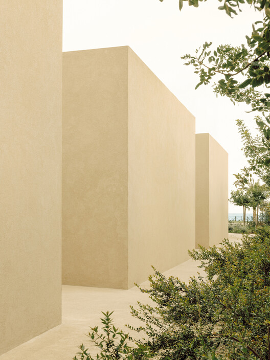 Patio House  / Solum Studio  - Image 1 of 26