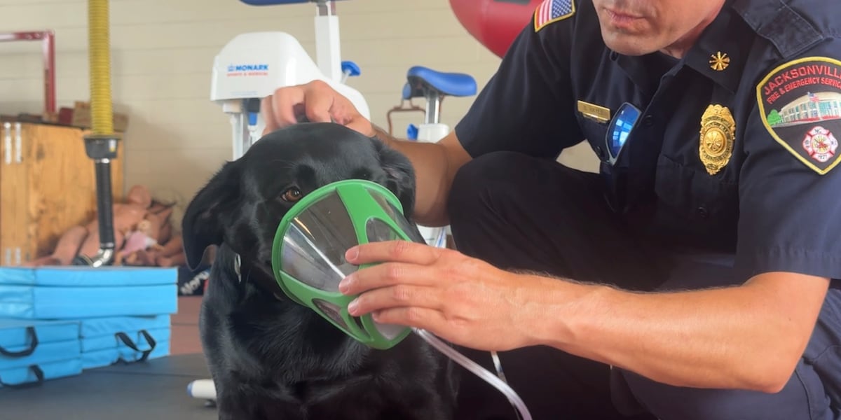 Veterinary Hospital donates pet oxygen masks to the Jacksonville Fire Department