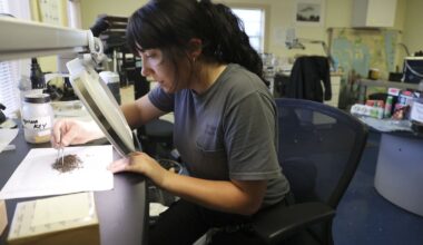Mosquitoes are thriving in Tampa Bay. Inside the effort to stave them off.