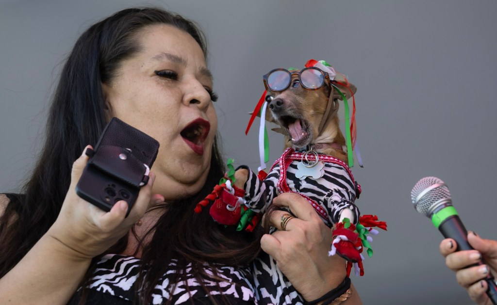 From Summer ‘Dog Gone Fun’ to Muscles off Main Street – San Diego Union-Tribune