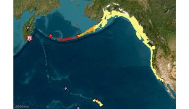 Tsunami from huge quake off Russia could raise sea level by a foot overnight on San Diego County coast – San Diego Union-Tribune