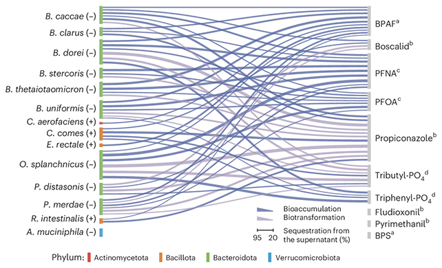 PFAS and bacteria chart