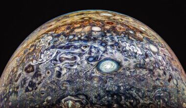 Colorful and swirling cloud patterns on Jupiter's atmosphere are shown, featuring a prominent white circular storm in the center, with various shades of blue, brown, and orange throughout the gaseous landscape under a dark sky.