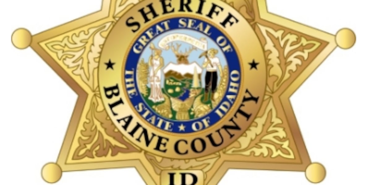 Blaine County alerts residents after bear cub sighting