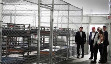 Jacksonville firm with $78 million ‘Alligator Alcatraz’ contract has obscure origins: The Tributary