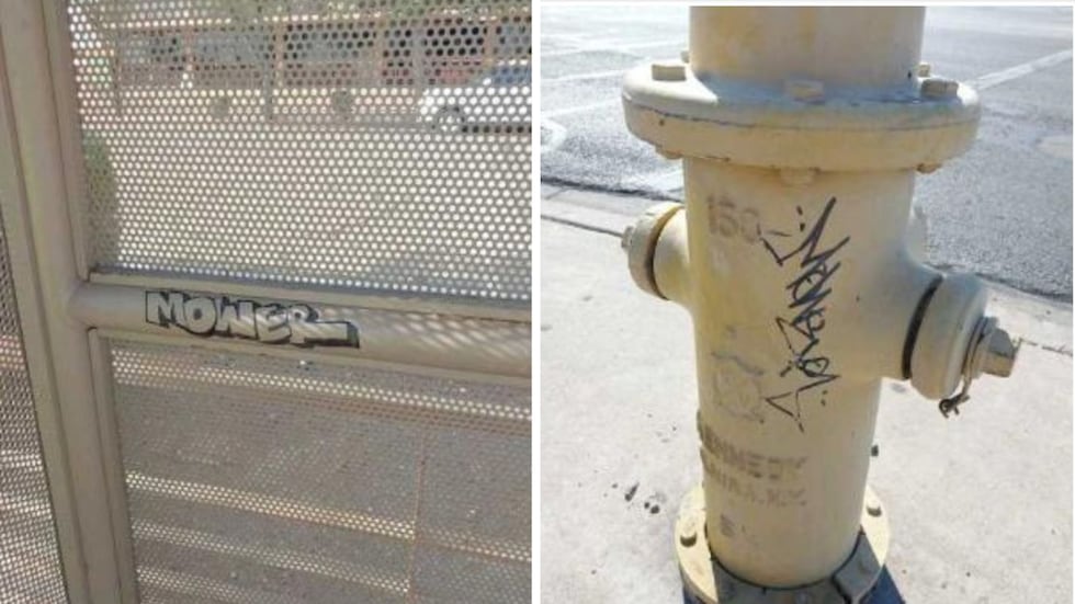 He spray painted his tag on bus stops, fire hydrants, sidewalks, a school, church and multiple...