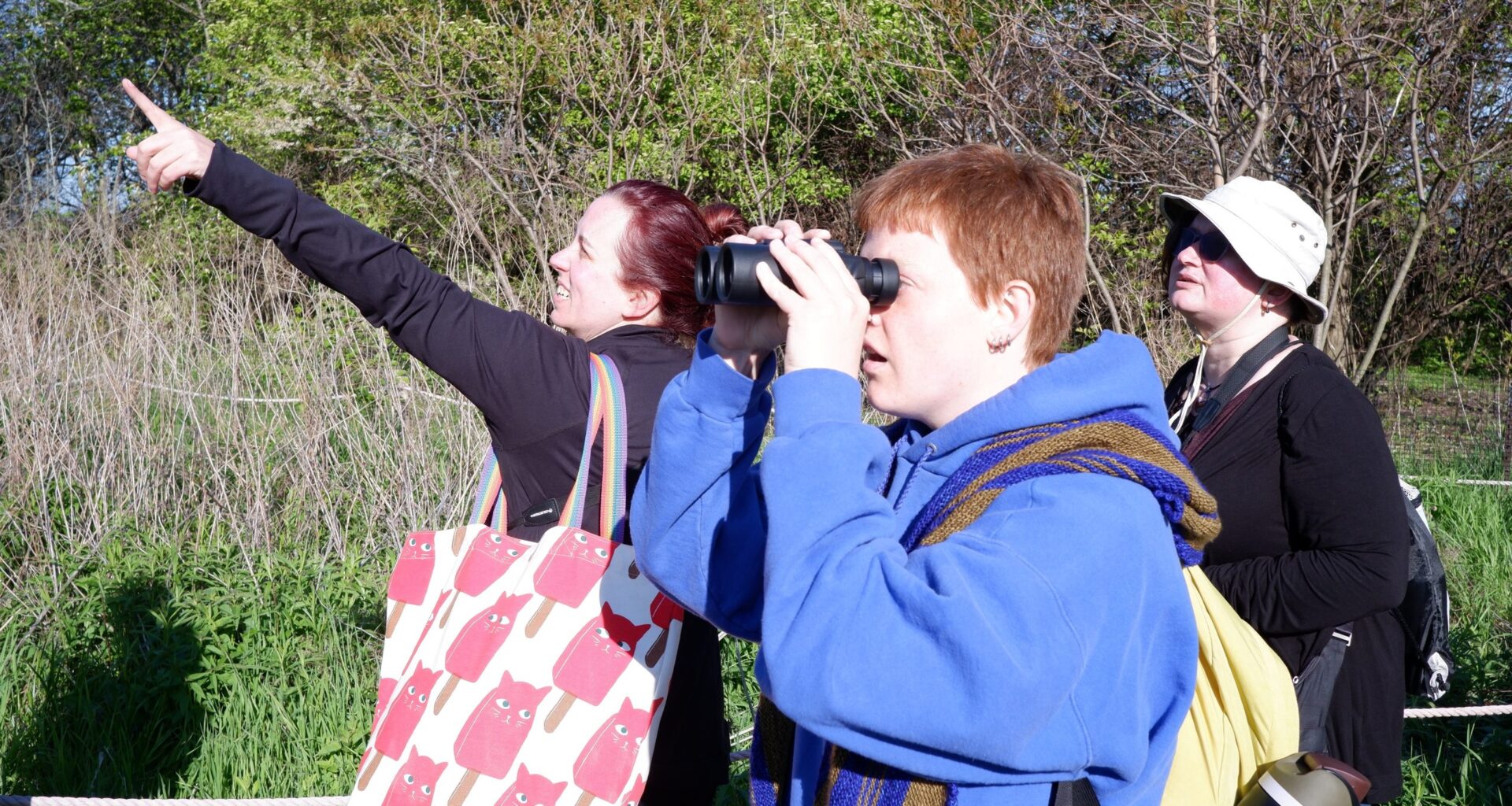Birding, but make it political 
