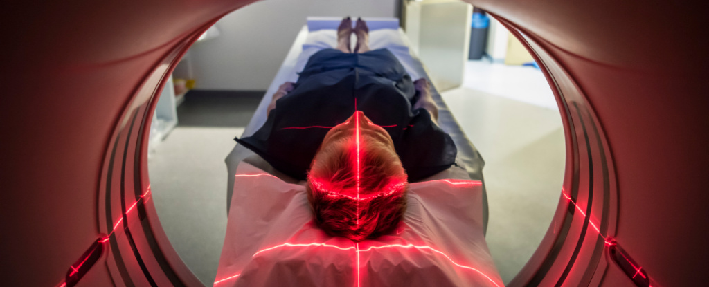 There's a Critical Thing We Can All Do to Hold Alzheimer's Symptoms at Bay : ScienceAlert