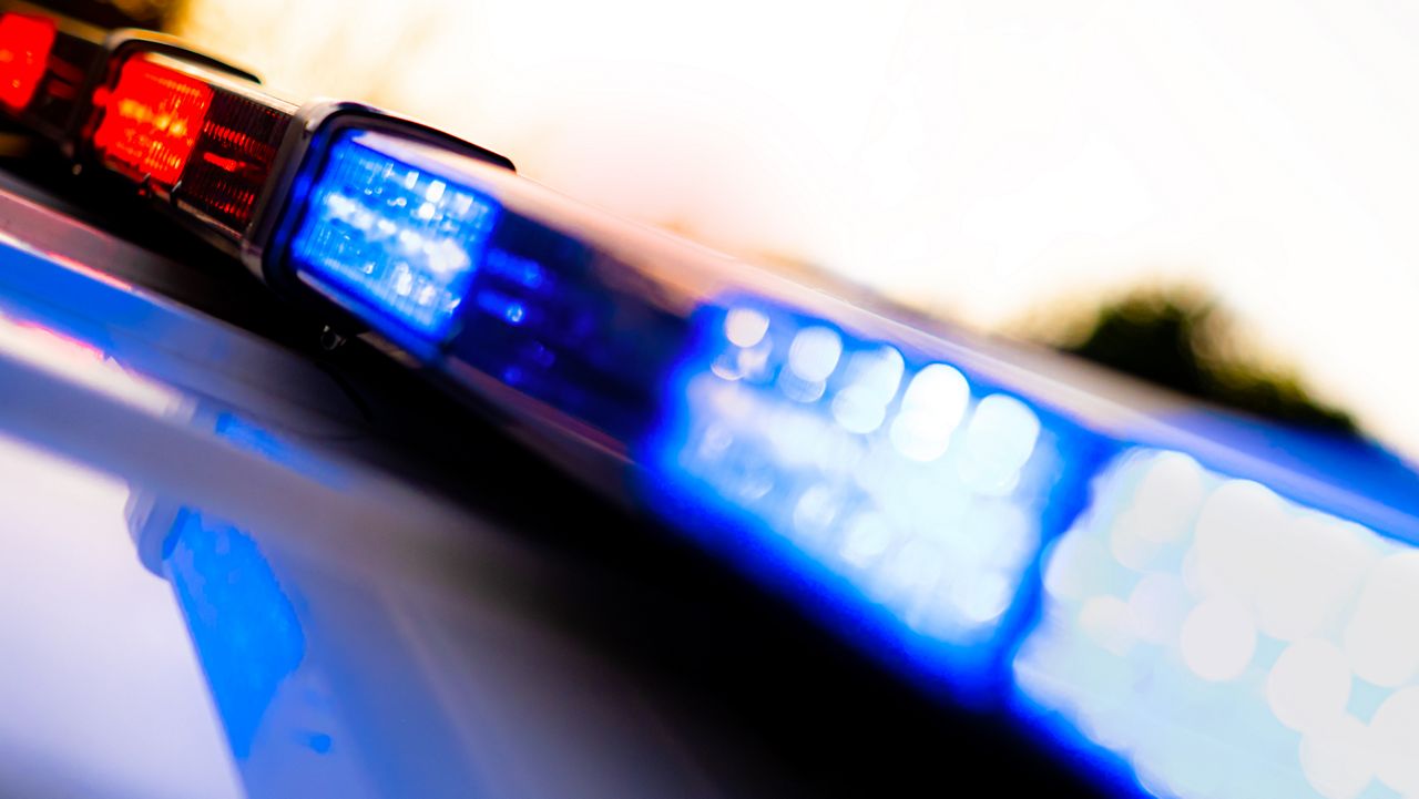 Police vehicle flashing lights. (Jason Deckman/Getty Images)