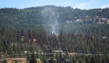 U.S. Congress members press Canada to deal with wildfire smoke ruining their summer