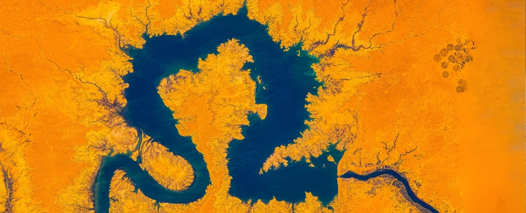 Humanity Has Dammed So Much Water It's Shifted Earth's Magnetic Poles : ScienceAlert