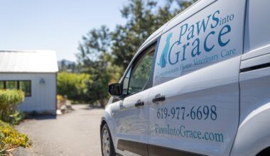 Paws into Grace offers end-of-life care for pets in San Diego