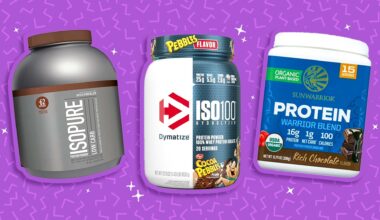 best chocolate protein powder